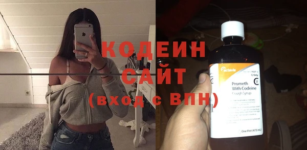 индика Белокуриха