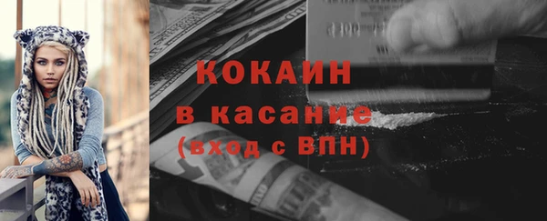 индика Белокуриха