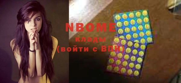 индика Белокуриха