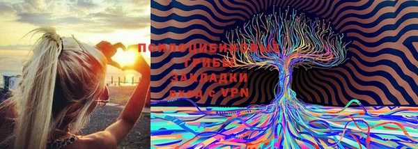 индика Белокуриха
