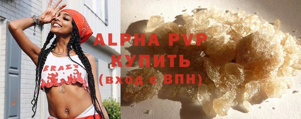 индика Белокуриха