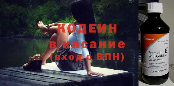 индика Белокуриха