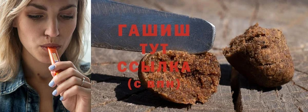 индика Белокуриха